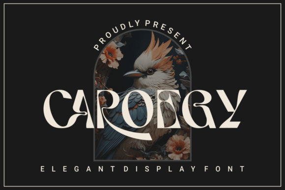 Caroegy: A Stylish Display Font for Designers