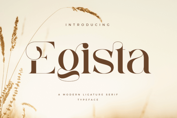 Egista Font Review: Elevating Web Design with Elegant Serif Typography