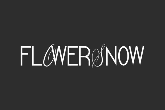 Flower Snow Font for Elegant Design