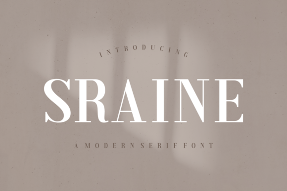 Sraine Review: A Serif With Soul for Modern Brands