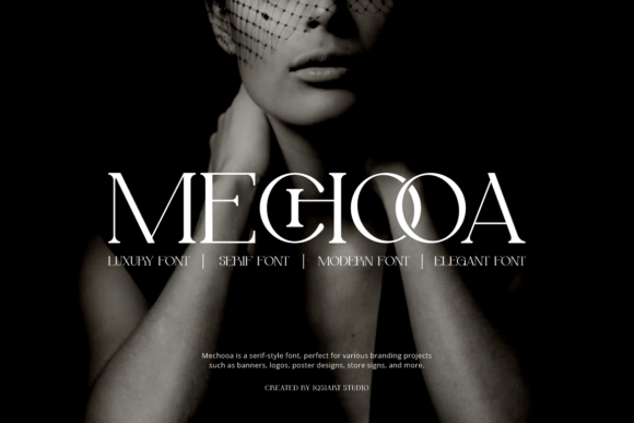 Upgrade Your Brand with Mechooa